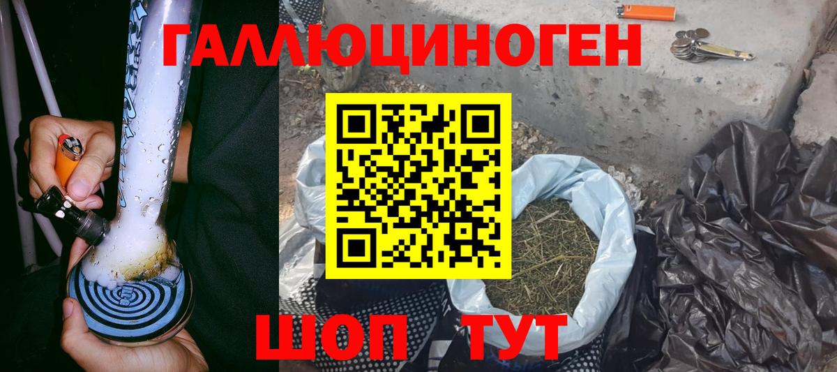Галлюциногенные грибы мицелий  купить закладку  Великий Новгород  Галлюциногенные грибы GOLDEN TEACHER  Вход с VPN 